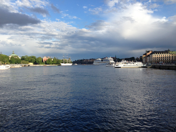 swedish-scenery-(i)